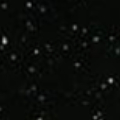 BLACK STAR