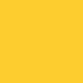 BOSS YELLOW