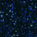 DARK SAPPHIRE
