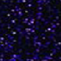 PURPLE ONYX