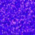 ULTRA PURPLE